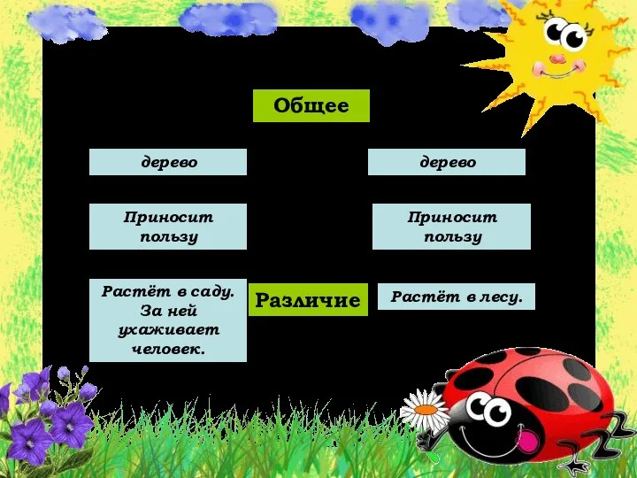 Общее Различие Растёт в лесу. Растёт в саду. За ней