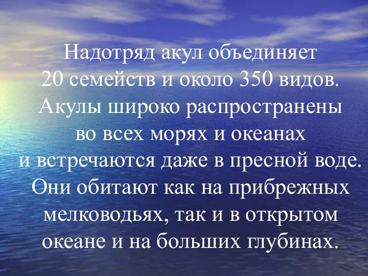 Надотряд акул объединяет 20 семейств и около 350 видов. Акулы