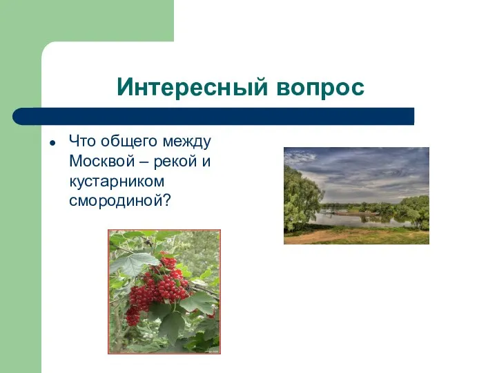 Интересный вопрос Что общего между Москвой – рекой и кустарником смородиной?
