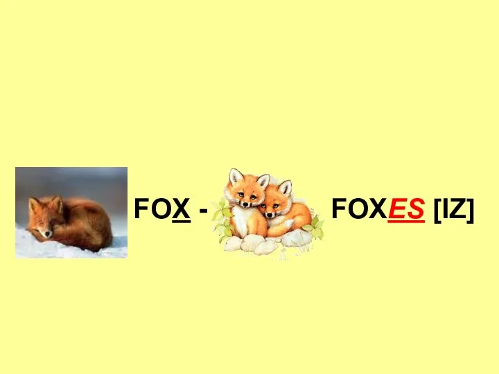 FOX - FOXES [IZ]