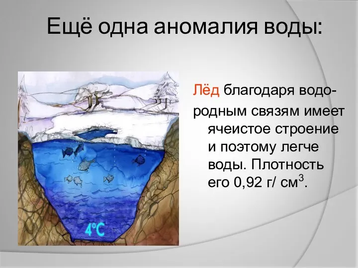 Ещё одна аномалия воды: Лёд благодаря водо- родным связям имеет