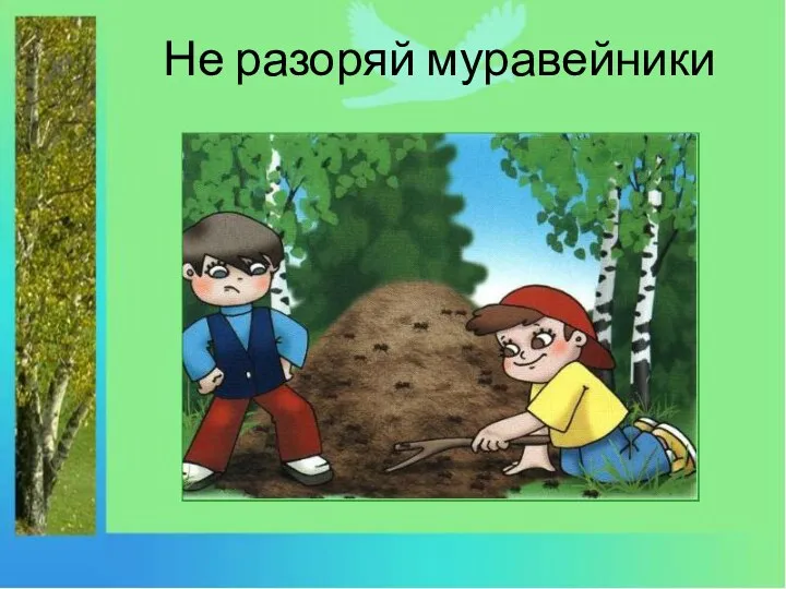 Не разоряй муравейники