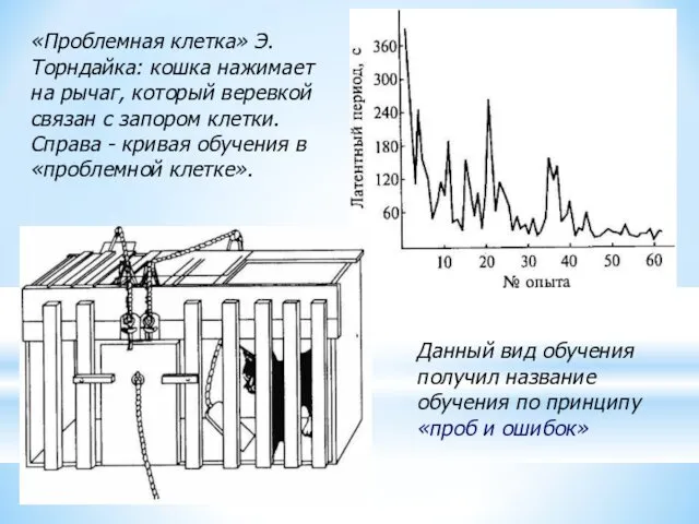 «Проблемная клетка» Э.Торндайка: кошка нажимает на рычаг, который веревкой связан