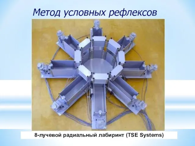 8-лучевой радиальный лабиринт (TSE Systems) Метод условных рефлексов