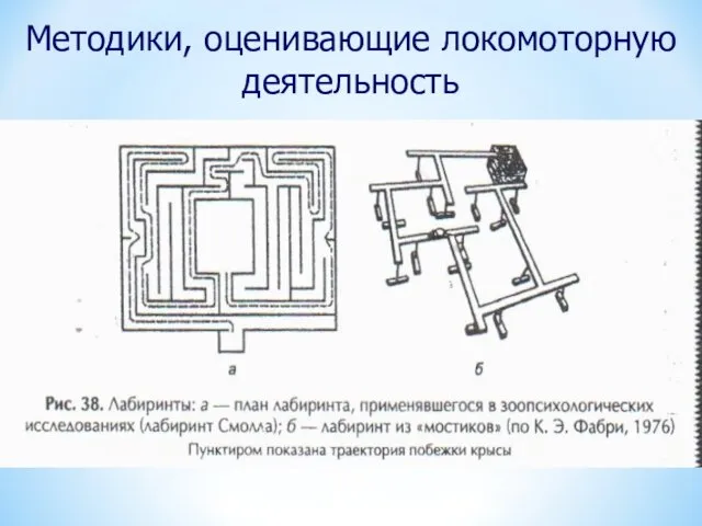 Методики, оценивающие локомоторную деятельность