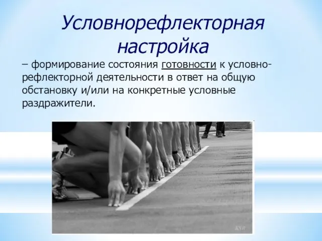 Условнорефлекторная настройка – формирование состояния готовности к условно-рефлекторной деятельности в