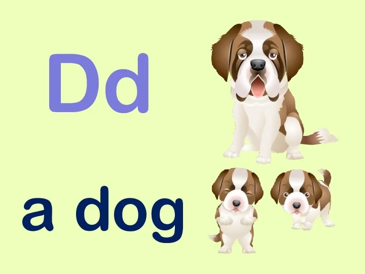 a dog Dd