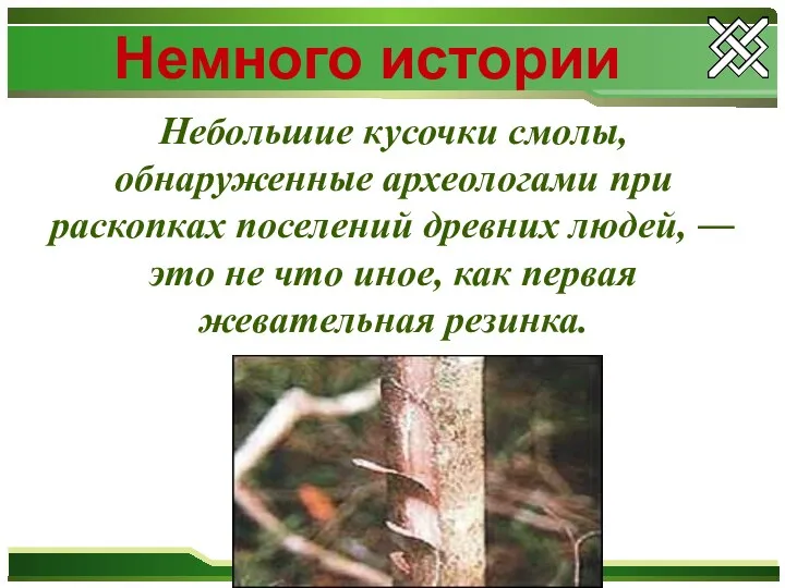 Немного истории Небольшие кусочки смолы, обнаруженные археологами при раскопках поселений