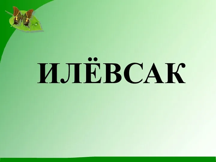 ИЛЁВСАК