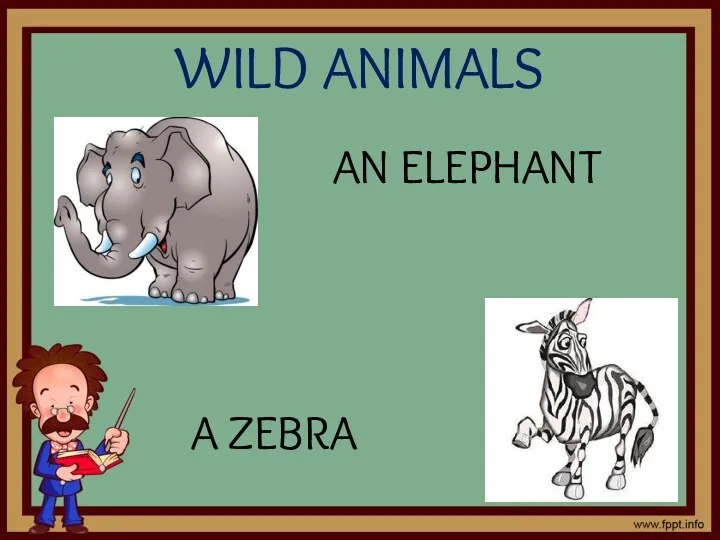 WILD ANIMALS AN ELEPHANT A ZEBRA