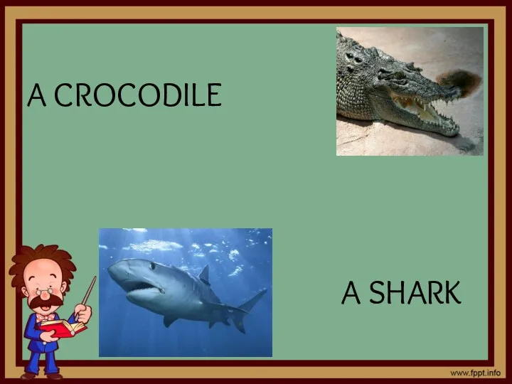 A CROCODILE A SHARK