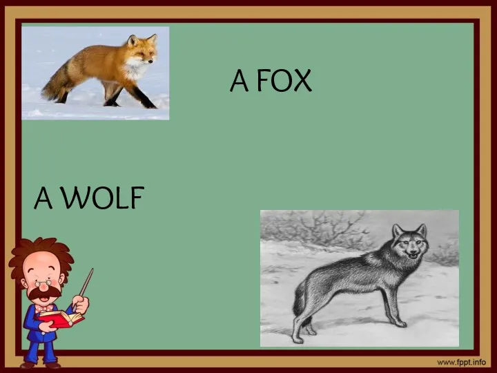 A FOX A WOLF