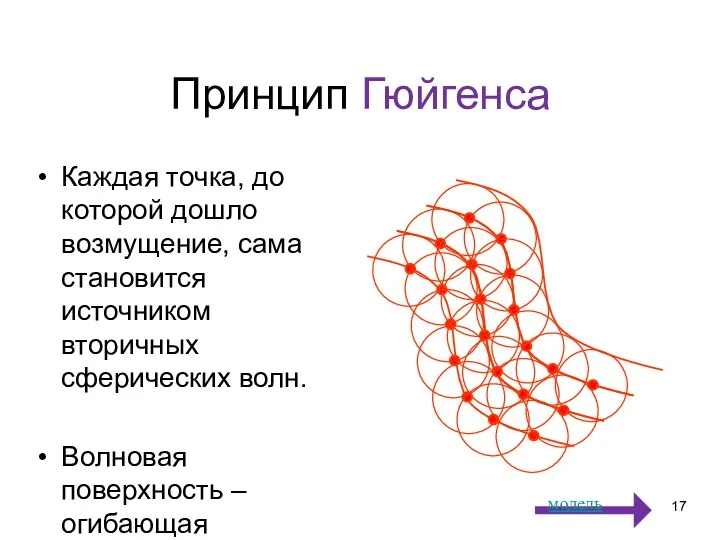 Принцип Гюйгенса Каждая точка, до которой дошло возмущение, сама становится