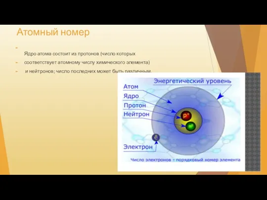 Атомный номер Ядро атома состоит из протонов (число которых соответствует