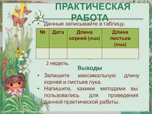 ПРАКТИЧЕСКАЯ РАБОТА Данные записывайте в таблицу. Наблюдайте за луковицей в