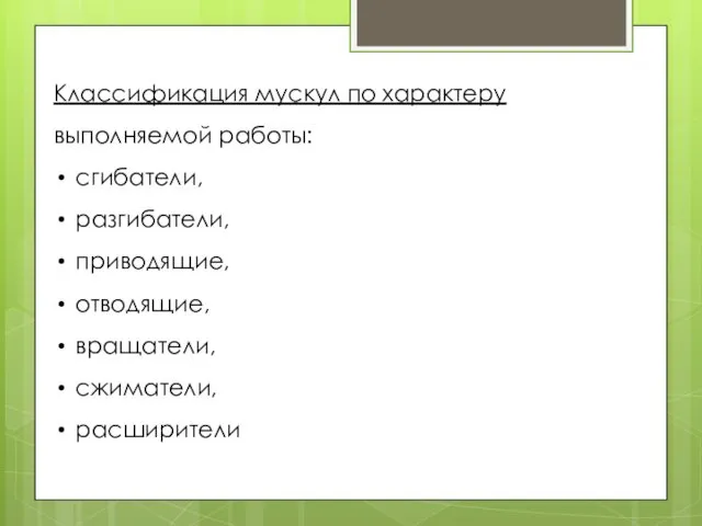 Классификация мускул по характеру выполняемой работы: сгибатели, разгибатели, приводящие, отводящие, вращатели, сжиматели, расширители