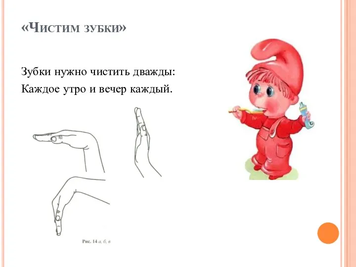 «Чистим зубки» Зубки нужно чистить дважды: Каждое утро и вечер каждый.