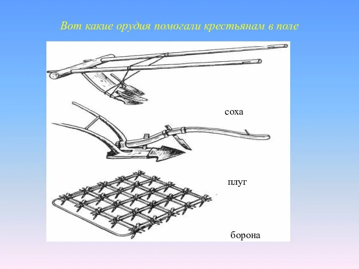 Вот какие орудия помогали крестьянам в поле соха плуг борона