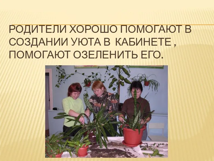 Родители хорошо помогают в создании уюта в кабинете , помогают озеленить его.