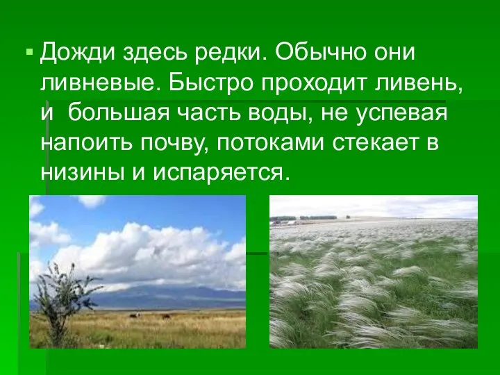 Дожди здесь редки. Обычно они ливневые. Быстро проходит ливень, и большая часть воды,