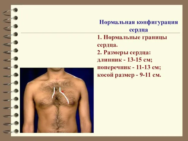 Нормальная конфигурация сердца 1. Нормальные границы сердца. 2. Размеры сердца: