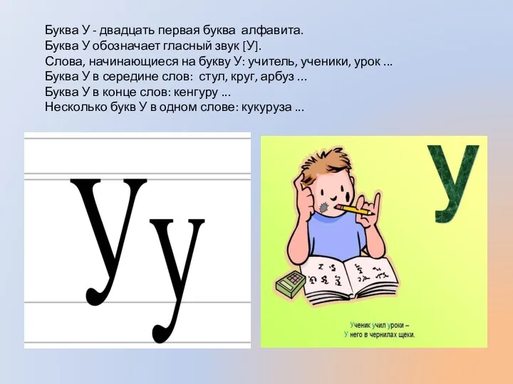 Буква У - двадцать первая буква алфавита. Буква У обозначает гласный звук [У].