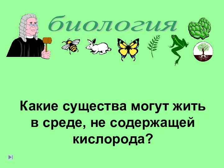 биология Какие существа могут жить в среде, не содержащей кислорода?