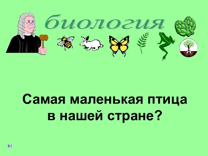 биология Самая маленькая птица в нашей стране?