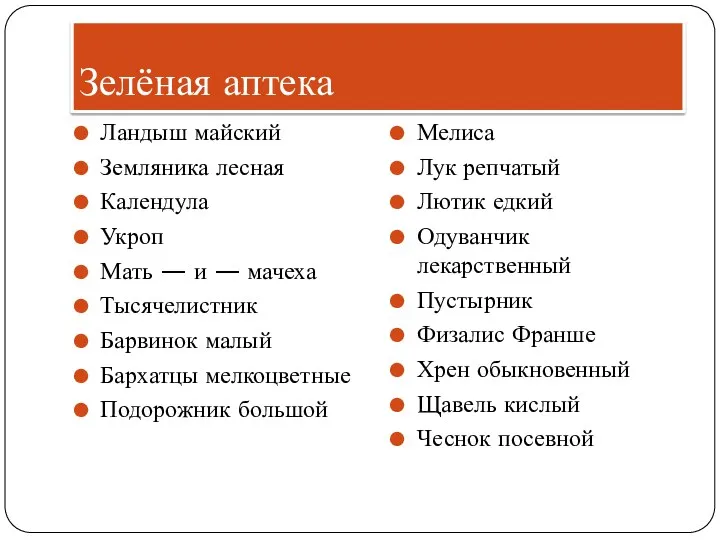 Зелёная аптека Ландыш майский Земляника лесная Календула Укроп Мать —