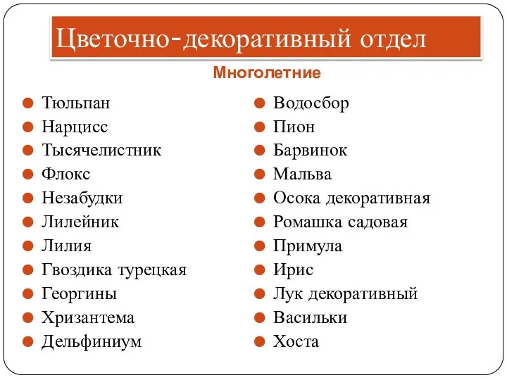 Цветочно-декоративный отдел Многолетние Тюльпан Нарцисс Тысячелистник Флокс Незабудки Лилейник Лилия