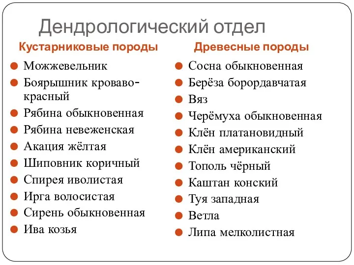 Дендрологический отдел Кустарниковые породы Древесные породы Можжевельник Боярышник кроваво-красный Рябина