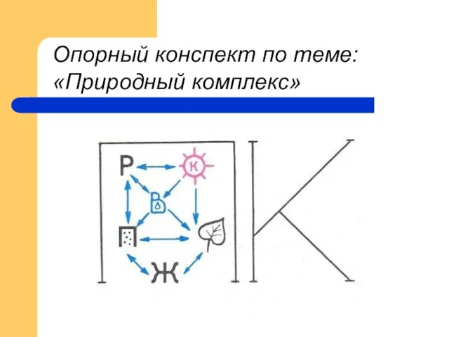 Опорный конспект по теме: «Природный комплекс»