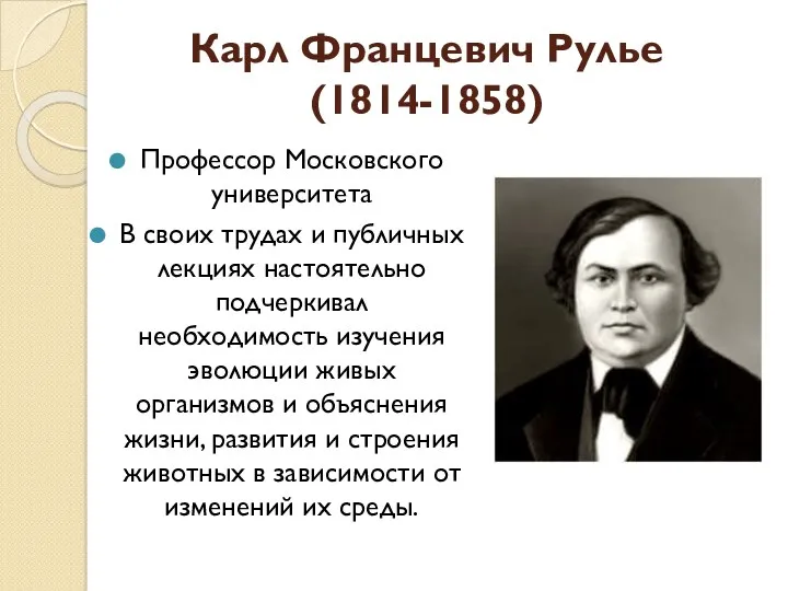 Карл Францевич Рулье (1814-1858) Профессор Московского университета В своих трудах
