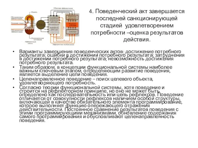 4. Поведенческий акт завершается последней санкционирующей стадией удовлетворением потребности –оценка