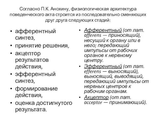 Согласно П.К. Анохину, физиологическая архитектура поведенческого акта строится из последовательно