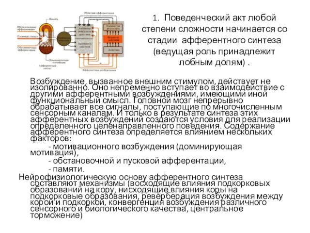 1. Поведенческий акт любой степени сложности начинается со стадии афферентного