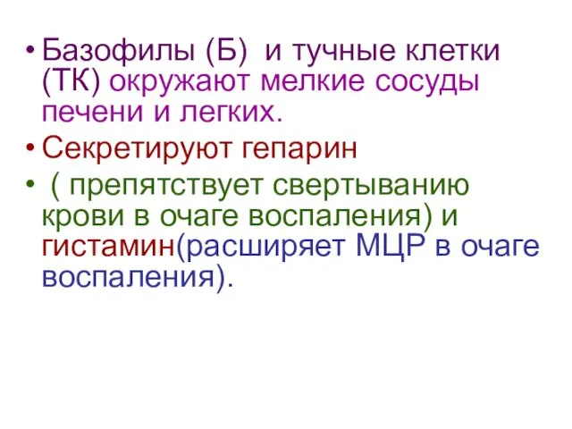 Базофилы (Б) и тучные клетки (ТК) окружают мелкие сосуды печени и легких. Секретируют