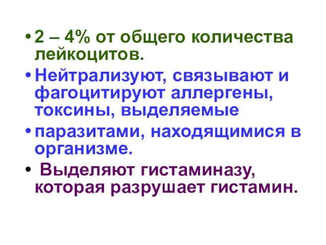 2 – 4% от общего количества лейкоцитов. Нейтрализуют, связывают и фагоцитируют аллергены, токсины,