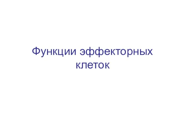 Функции эффекторных клеток