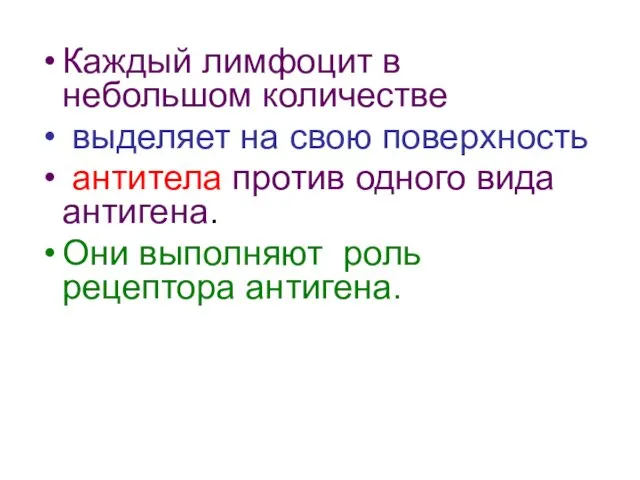 Каждый лимфоцит в небольшом количестве выделяет на свою поверхность антитела против одного вида