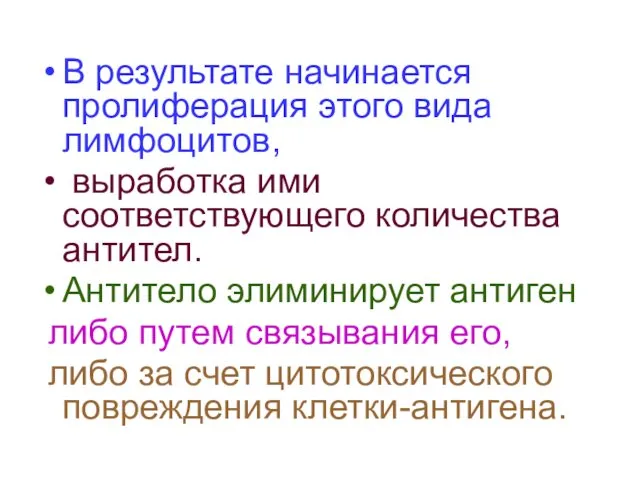 В результате начинается пролиферация этого вида лимфоцитов, выработка ими соответствующего количества антител. Антитело