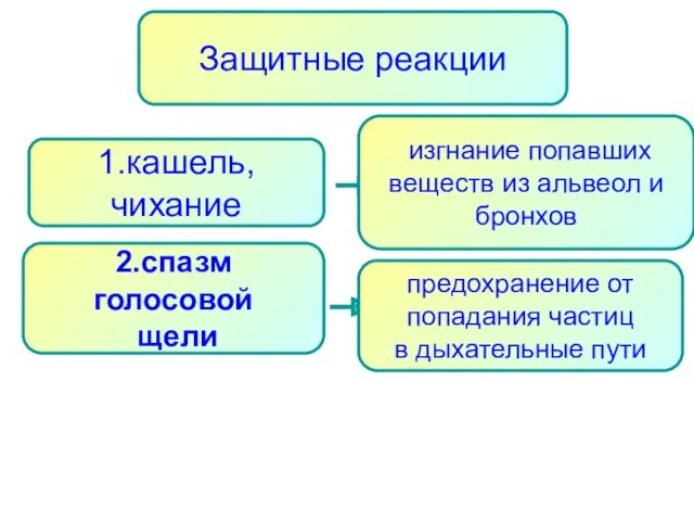 Защитные реакции изгнание попавших веществ из альвеол и бронхов 1.кашель, чихание 2.спазм голосовой