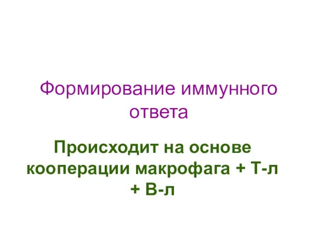 Формирование иммунного ответа Происходит на основе кооперации макрофага + Т-л + В-л