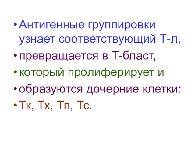 Антигенные группировки узнает соответствующий Т-л, превращается в Т-бласт, который пролиферирует и образуются дочерние