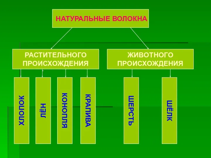 НАТУРАЛЬНЫЕ ВОЛОКНА РАСТИТЕЛЬНОГО ПРОИСХОЖДЕНИЯ ЖИВОТНОГО ПРОИСХОЖДЕНИЯ ХЛОПОК ЛЁН КОНОПЛЯ КРАПИВА ШЕРСТЬ ШЁЛК