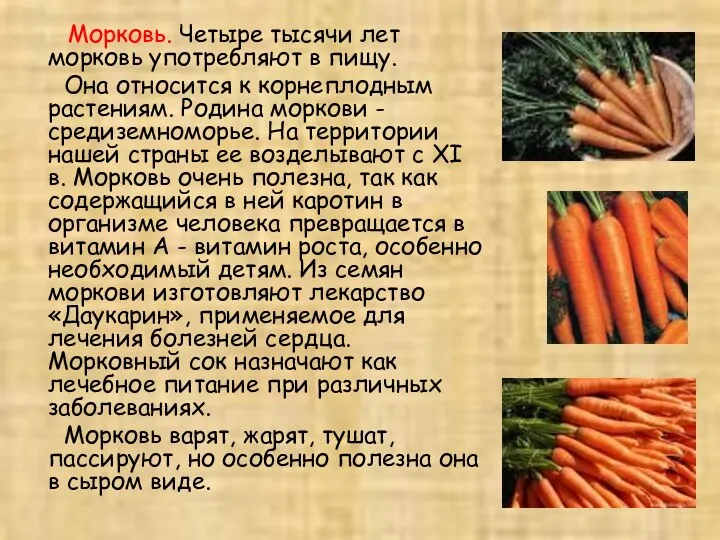 Морковь. Четыре тысячи лет морковь употребляют в пищу. Она относится