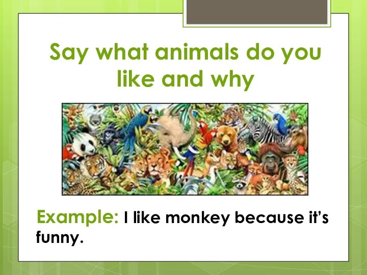 Say what animals do you like and why Example: I like monkey because it’s funny.