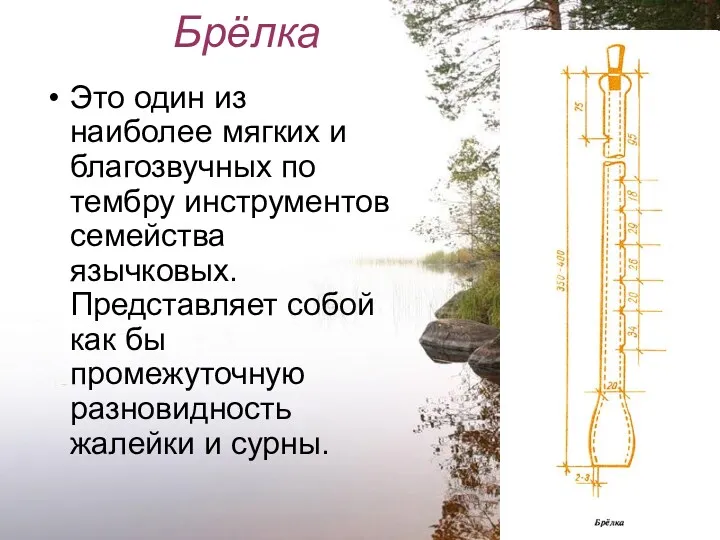 Брёлка Это один из наиболее мягких и благозвучных по тембру инструментов семейства язычковых.