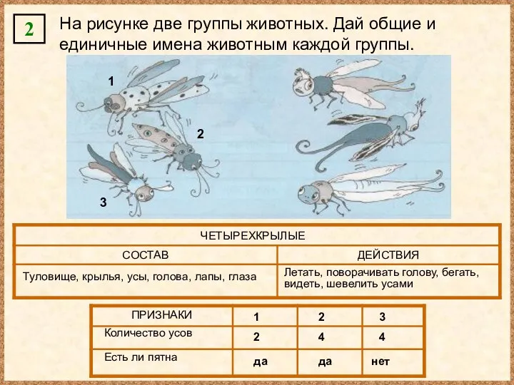 2 На рисунке две группы животных. Дай общие и единичные