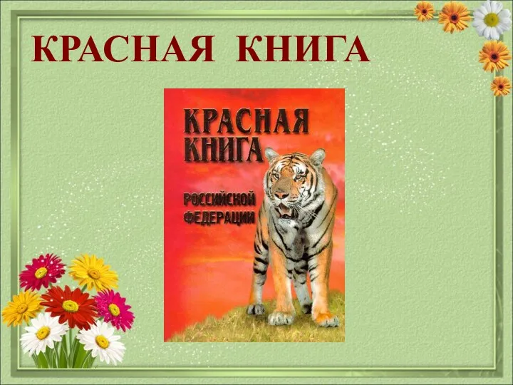 КРАСНАЯ КНИГА